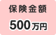 保険金額500万円