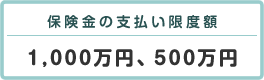 保険金の支払い限度額 1000万円